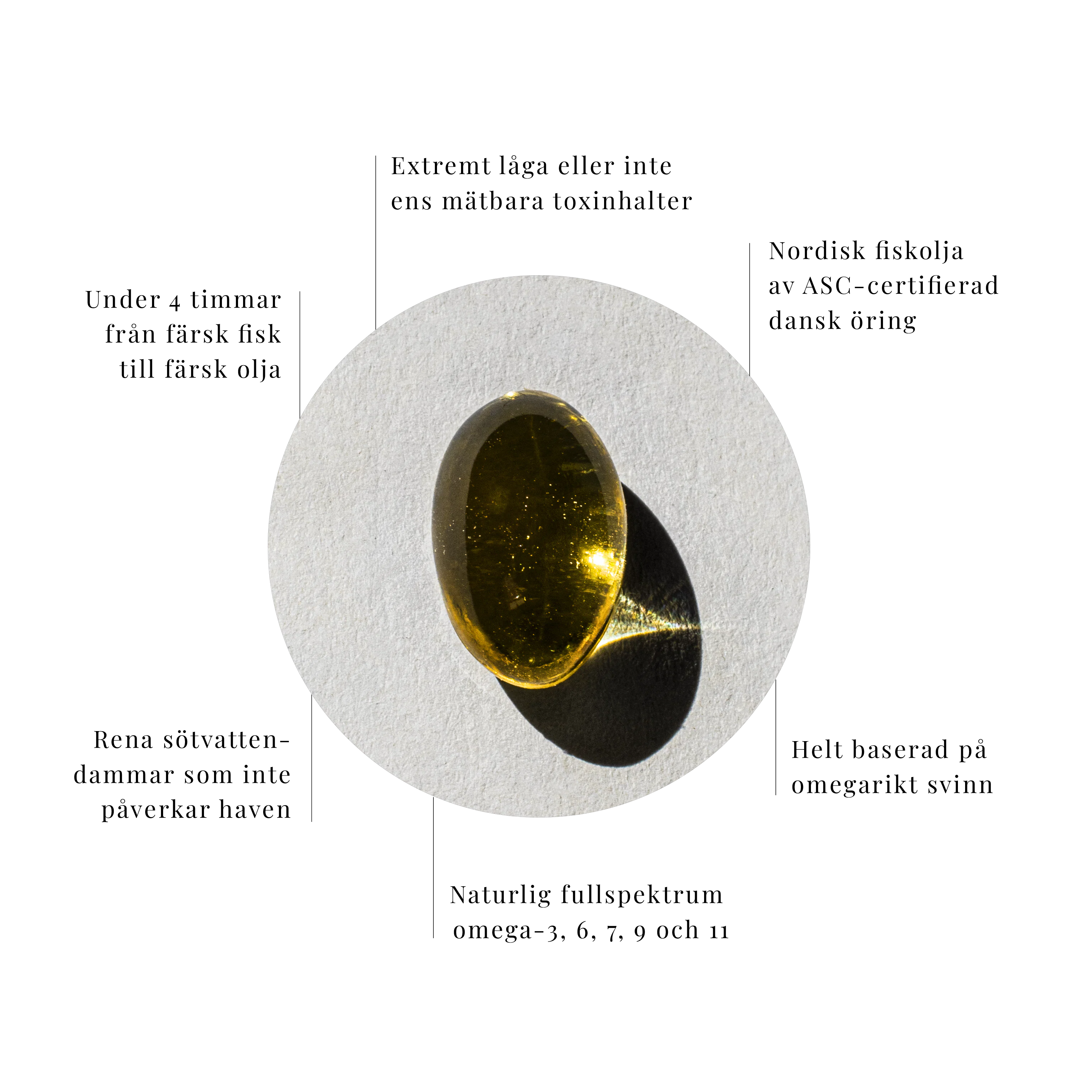 omega-timeline-nordbo